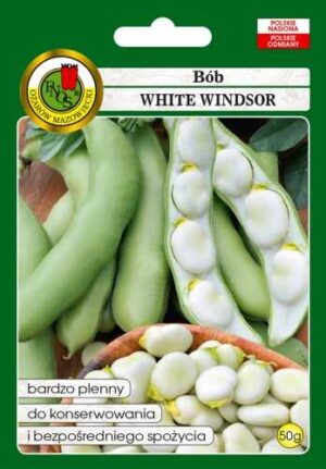 Bób Windsor biały - torebka nasion