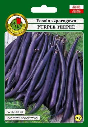 Fasola Purple Teepee - torebka nasion