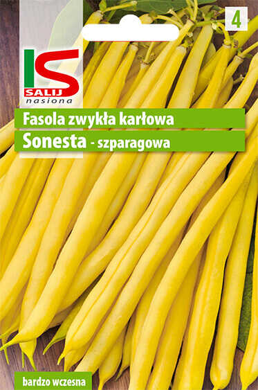 Fasola Sonesta - torebka nasion