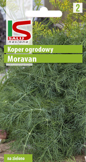 Koper Moravan - torebka nasion