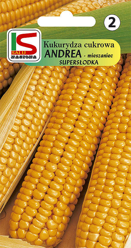 Kukurydza Andrea - torebka nasion