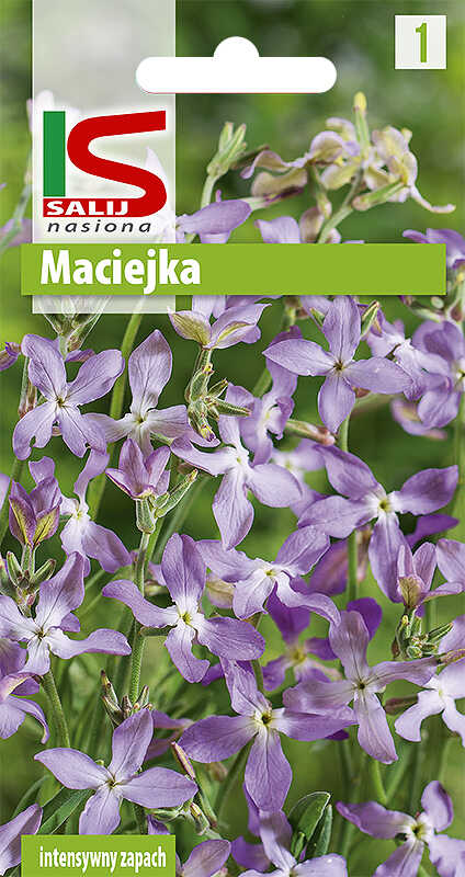 Maciejka - torebka nasion