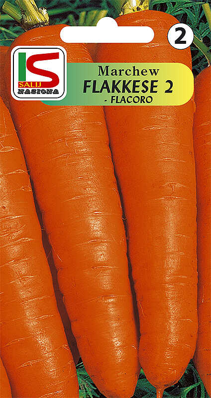 Marchew Flacoro - torebka nasion