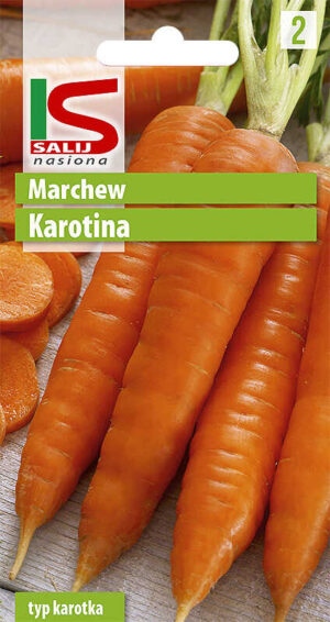 Marchew Karotina - torebka nasion