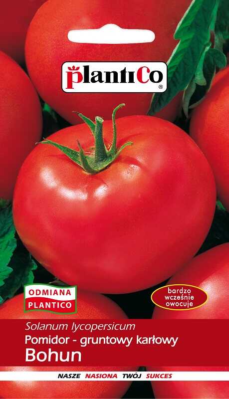 pomidor bohun 1g