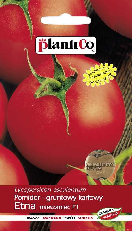 pomidor etna
