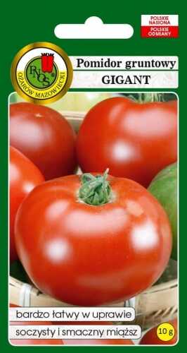 pomidor gigant 10g przód
