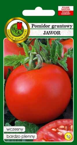 pomidor jawor 1g