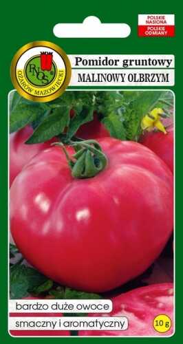 pomidor malinowy olbrzym 10g