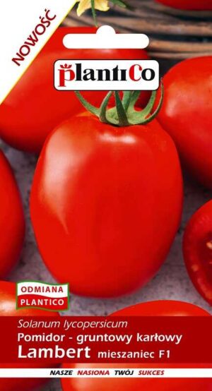 pomidor lambert 0,5g