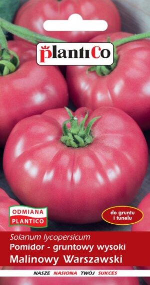 Pomidor malinowy Warszawski