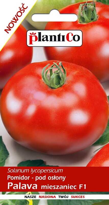 pomidor pod osłony palava