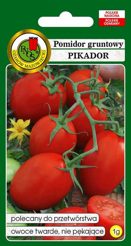 pomidor pikador