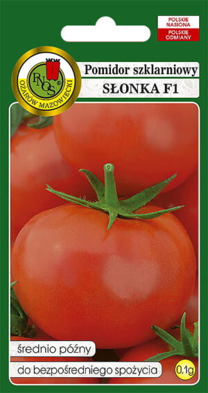 Pomidor Szklarniowy Słonka