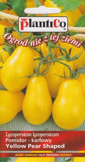 pomidor yellow pear shaped