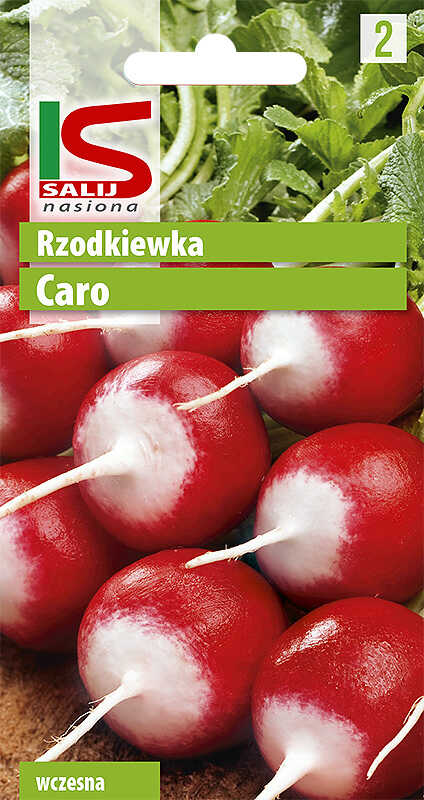 Rzodkiewka Caro - torebka nasion