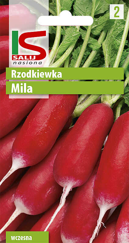 Rzodkiewka Mila - torebka nasion